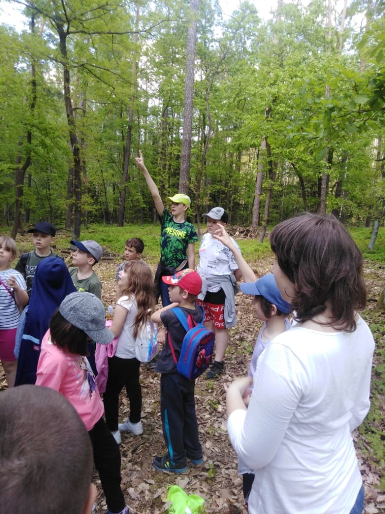 Lesní pedagogika nás baví